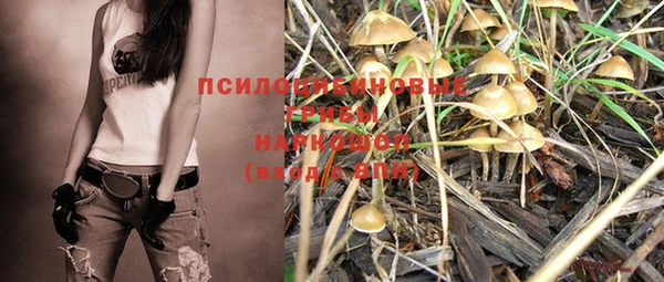 спиды Белокуриха