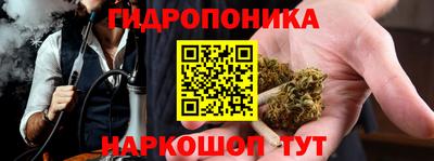 стафф Будённовск